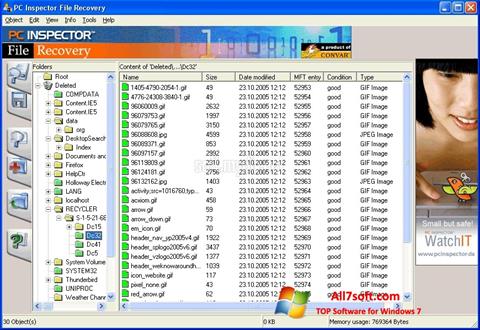 স্ক্রিনশট PC Inspector File Recovery Windows 7