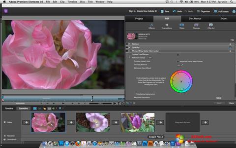 স্ক্রিনশট Adobe Premiere Elements Windows 7