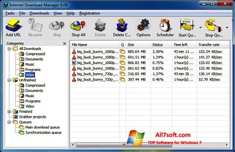 স্ক্রিনশট Internet Download Manager Windows 7