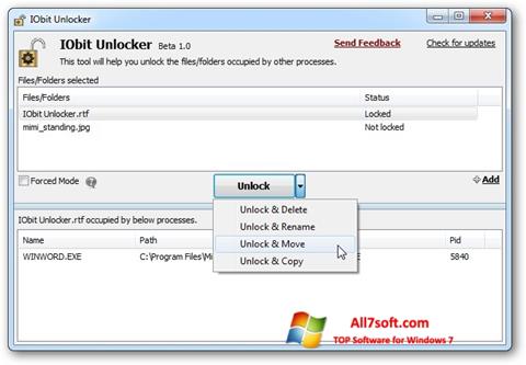 স্ক্রিনশট IObit Unlocker Windows 7
