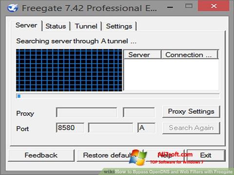 স্ক্রিনশট Freegate Windows 7