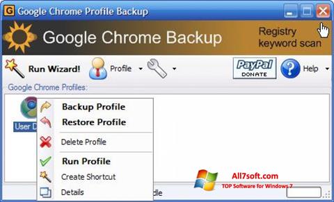 স্ক্রিনশট Google Chrome Backup Windows 7